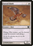 Suntail Hawk (Oversized) [Eighth Edition Box Topper]