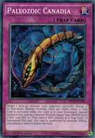 Paleozoic Canadia [MP17-EN124] Common
